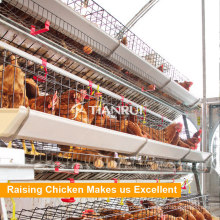 Tianrui A Type Automatic Poultry Farm Layer Cages